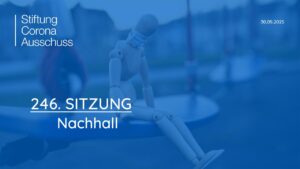 Sitzung246